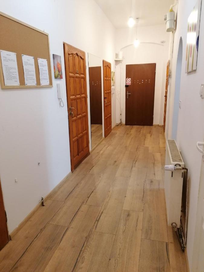 Hostel Tulip - Pokój 5 ze wspólną łazienką i kuchnią Estetino Exterior foto